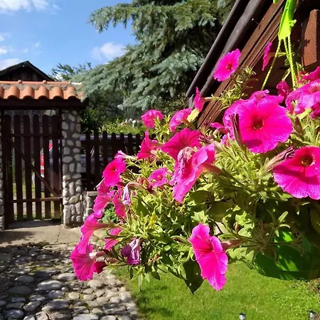 Самостоятелни Стаи „Рози” Casa de hóspedes Beli Iskar